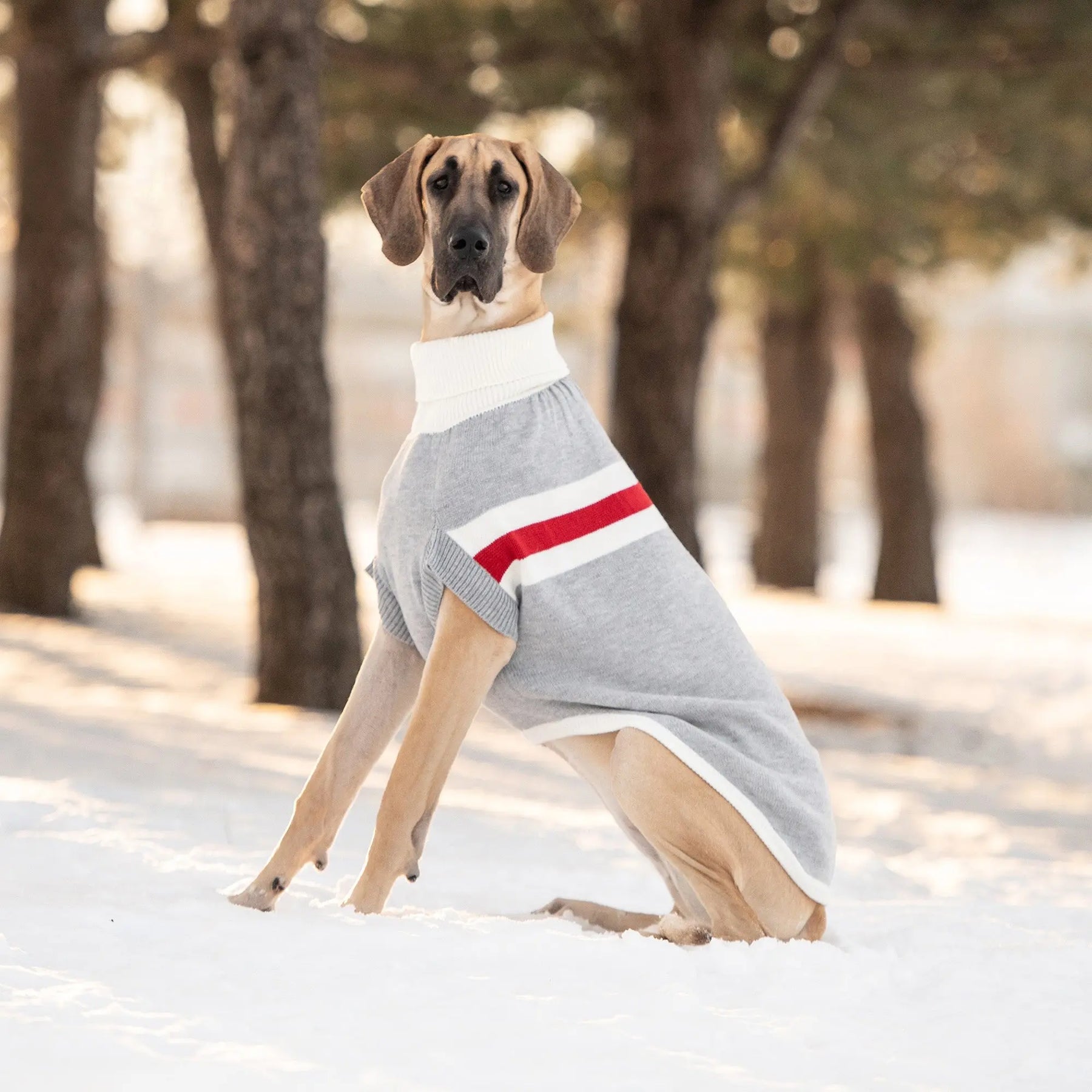 Trekking Dog Sweater | Grey Mix GF PET Apparel GF Pet Official Online Store