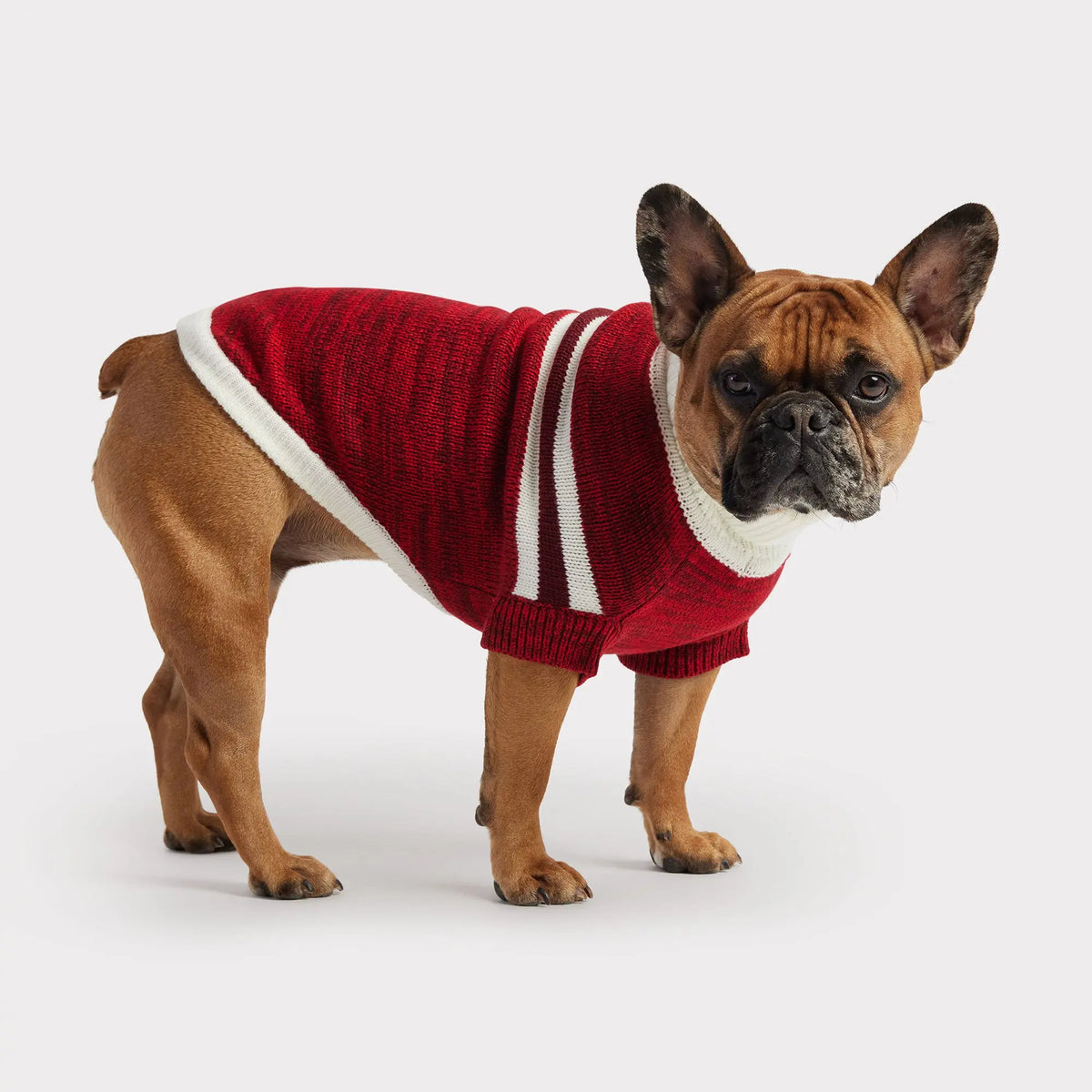 Trekking Dog Sweater | Red GF PET Apparel GF Pet Official Online Store