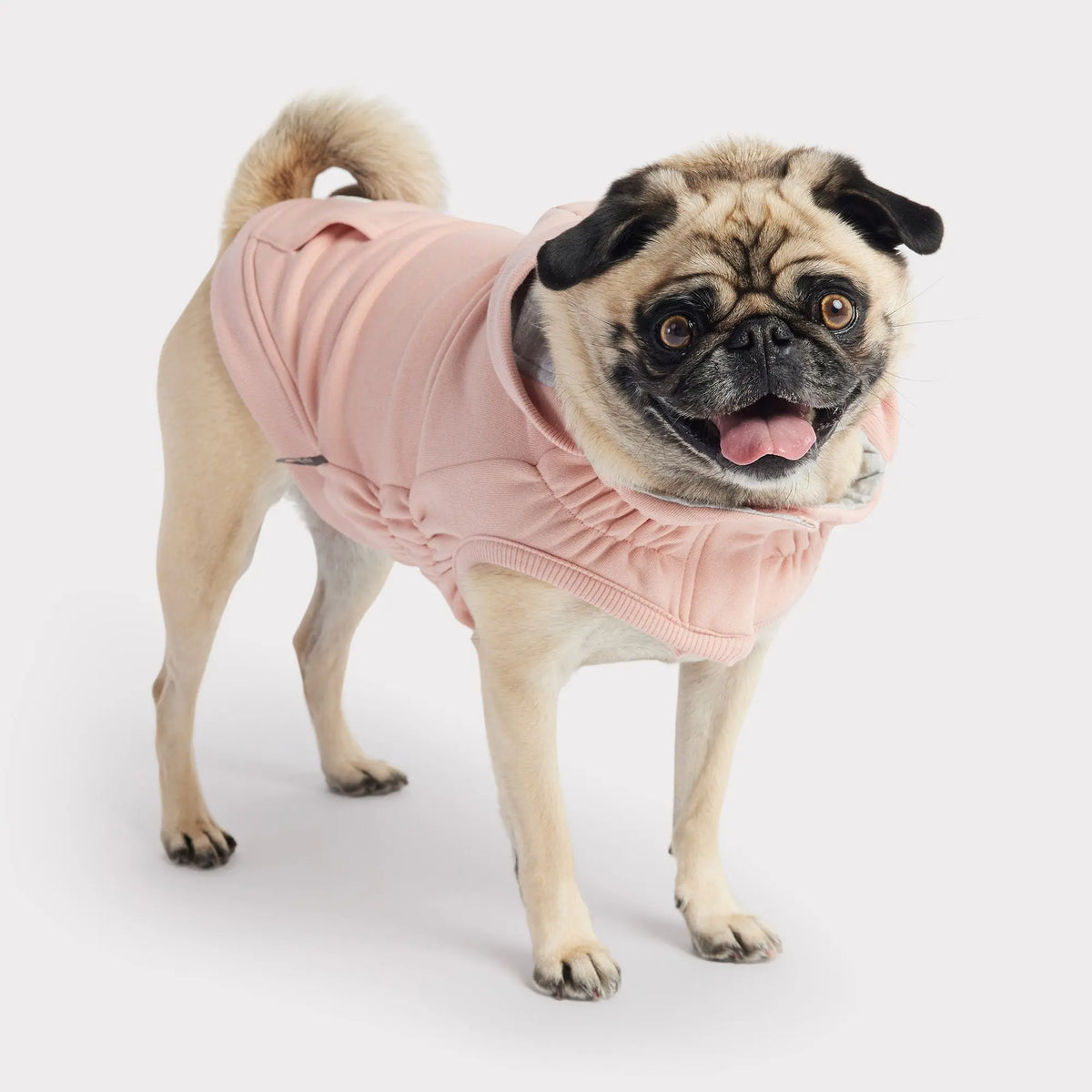 Urban Dog Hoodie | Pink GF PET Apparel GF Pet Official Online Store