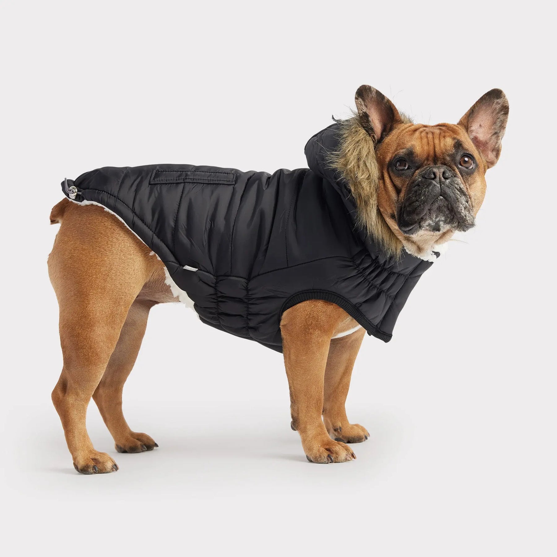 Urban Parka - Black GF PET