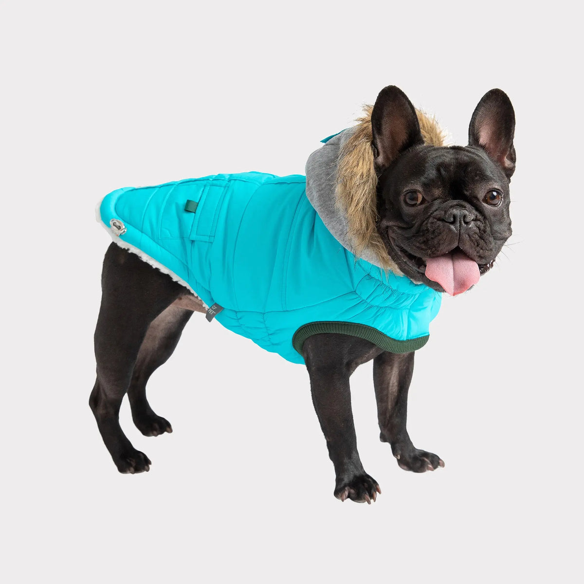 Winter Sailor Parka | Aqua GF PET