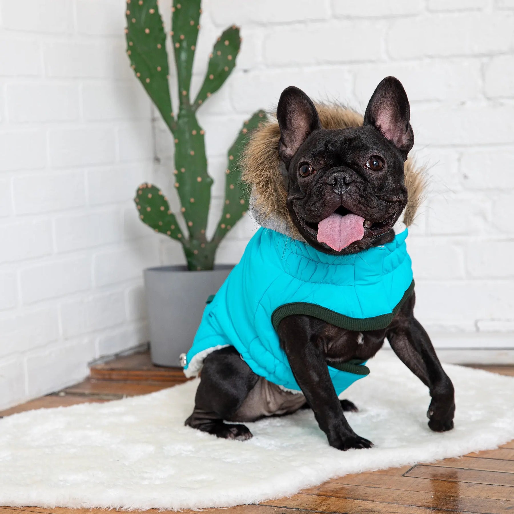 Winter Sailor Parka | Aqua GF PET