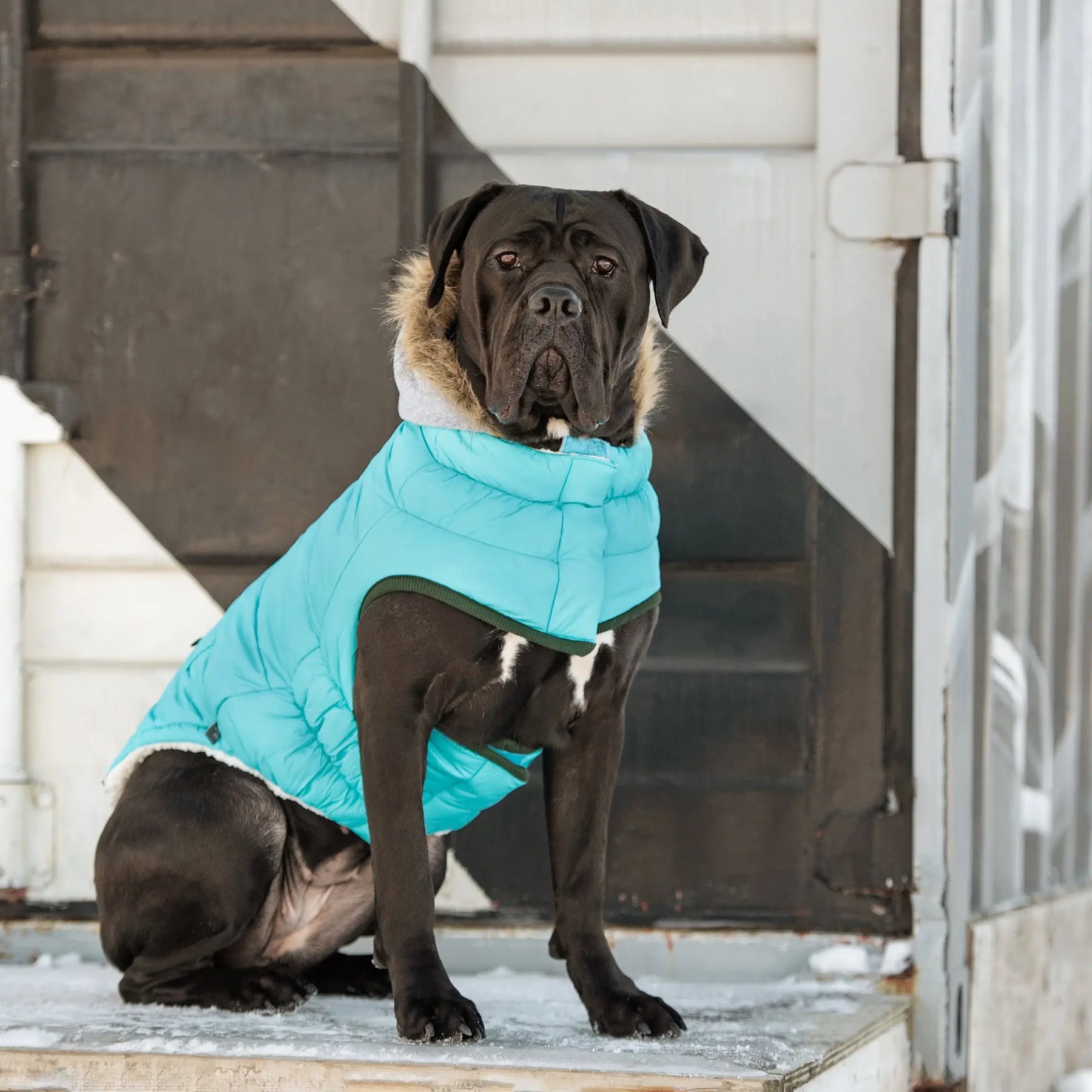 Winter Sailor Parka | Aqua GF PET