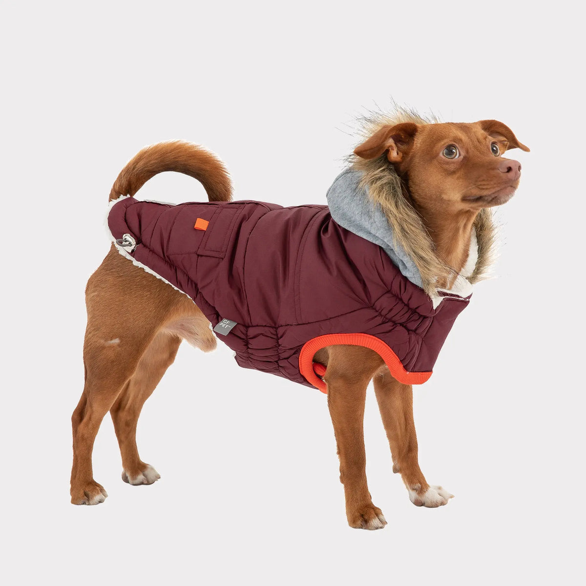 Winter Sailor Parka | Burgundy GF PET