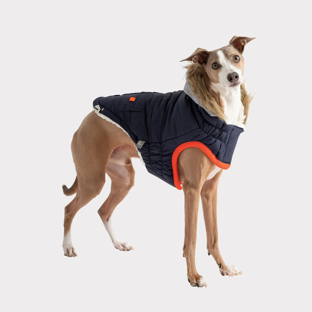 Winter Sailor Parka | Navy GF PET