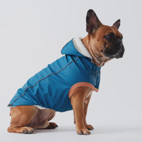 Insulated Dog Raincoat | Dark Blue