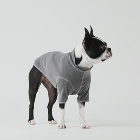 Gondola Base Layer for Dogs | Charcoal