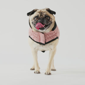 Reversible Chalet Dog Jacket | Pink