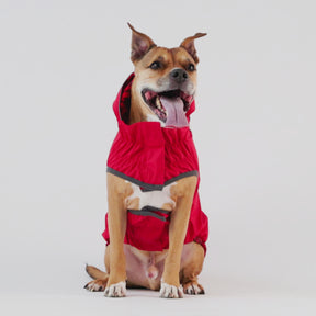 Reversible Dog Raincoat | Red Abstract