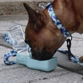 Collapsible Pet Water Bottle