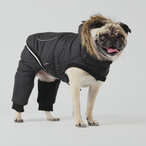 Creekside Dog Snowsuit | Black