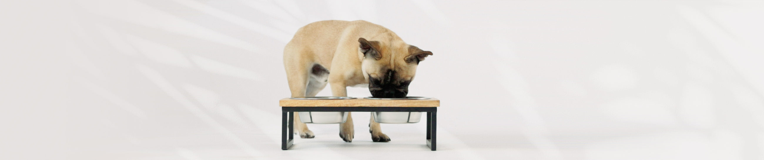 Mangeoire en bois et métal pour chiens et chats - GF Pet Boutique en ligne  officielle