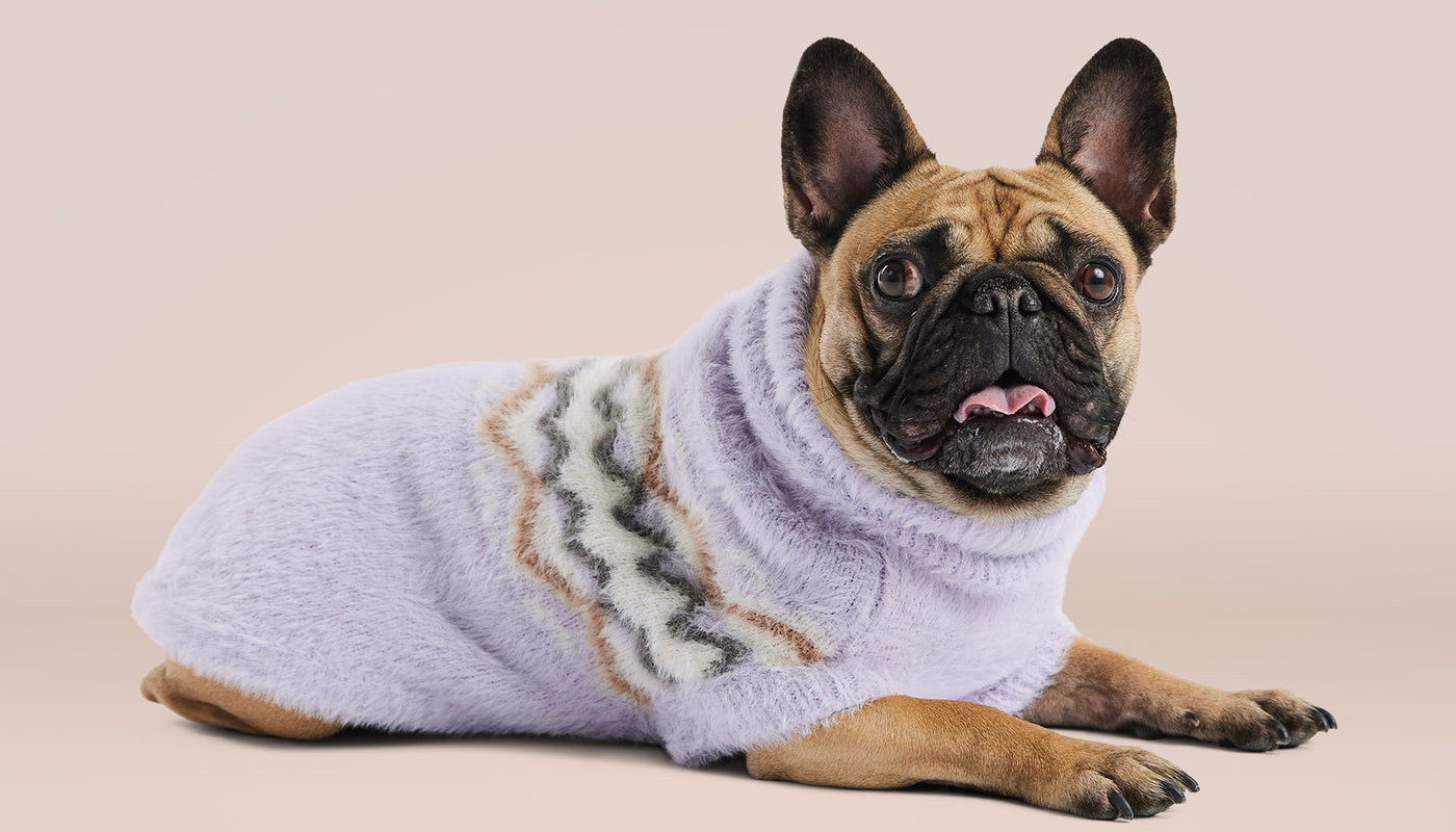 Coming-Soon-Fall-Winter-2024 GF Pet Official Online Store