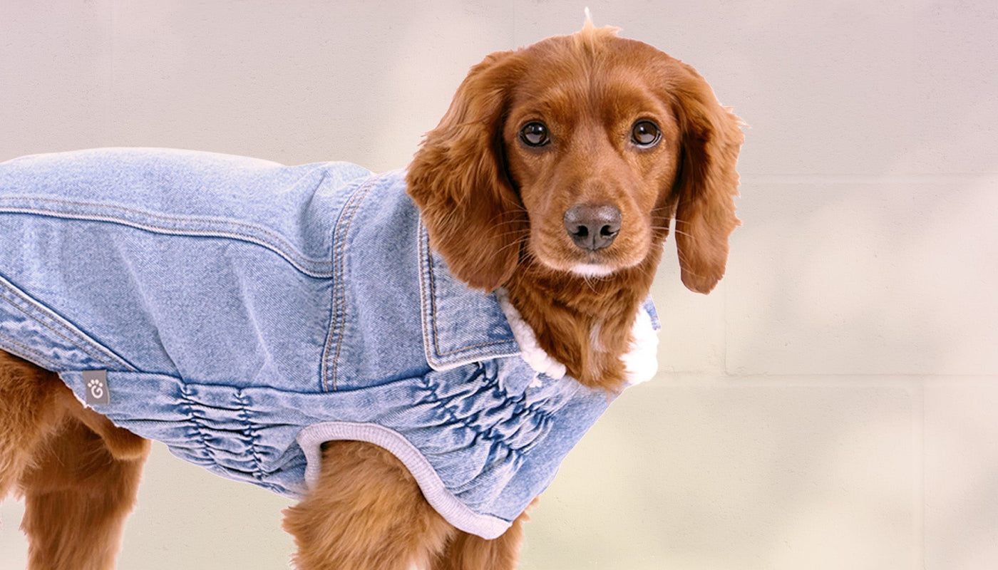 ELASTO-FIT® Designs GF Pet Official Online Store