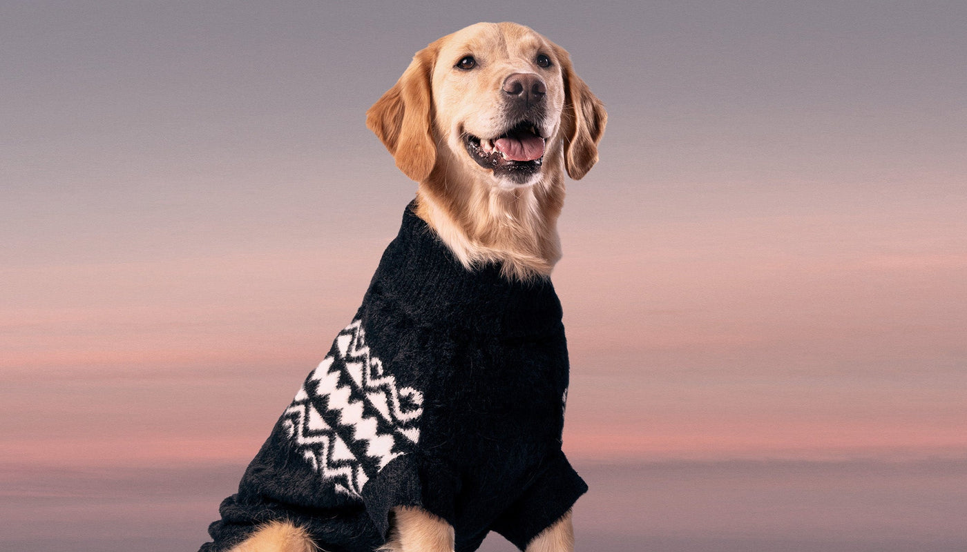 FALL-ESSENTIALS GF Pet Official Online Store