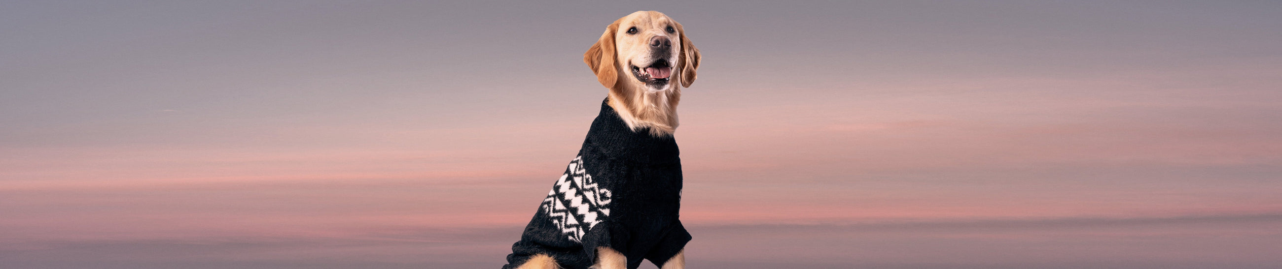 FALL-ESSENTIALS GF Pet Official Online Store
