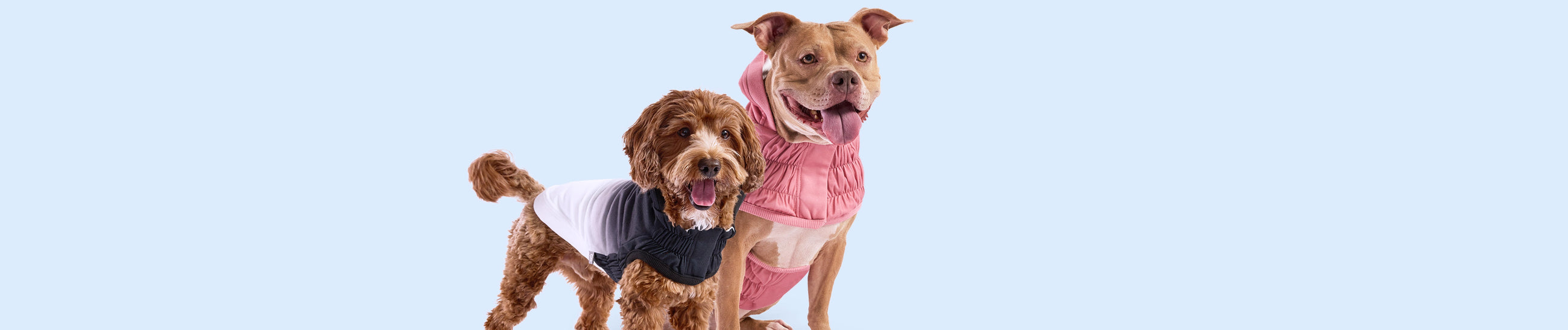 FALL-WINTER-2025 GF Pet Official Online Store