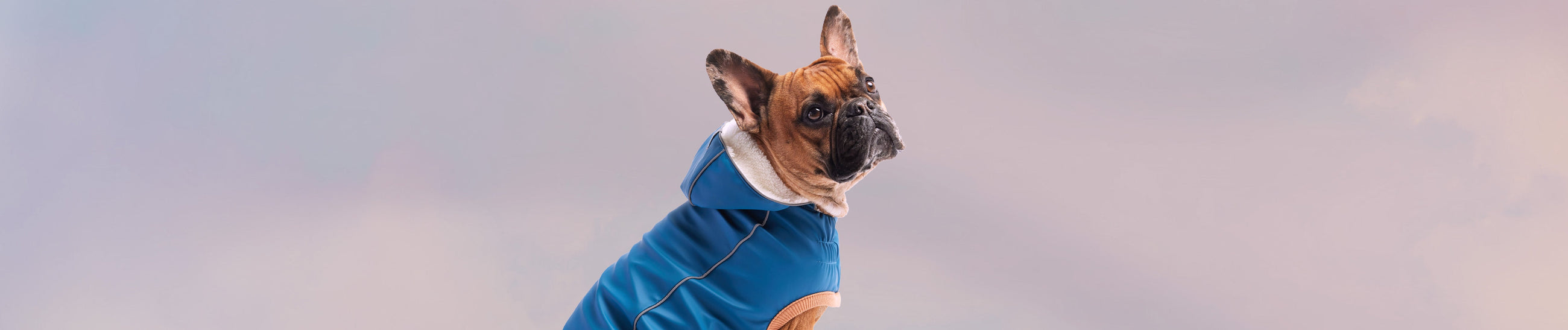 Insulated Dog Raincoats