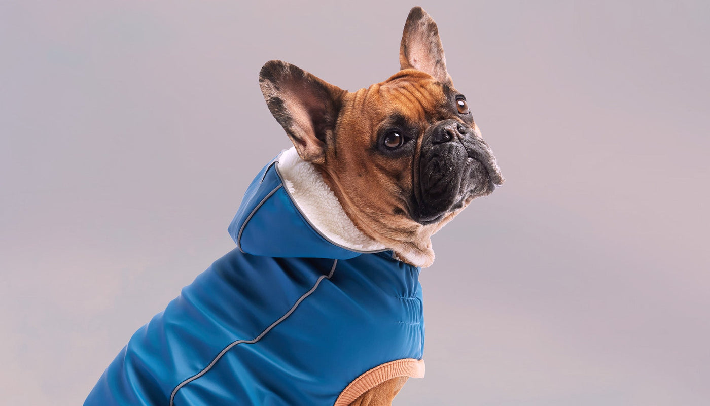Raincoats GF Pet Official Online Store