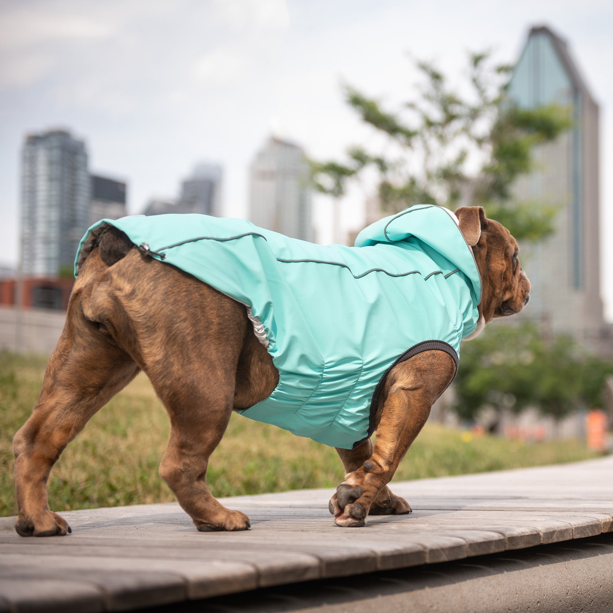 Raincoats GF Pet Official Online Store