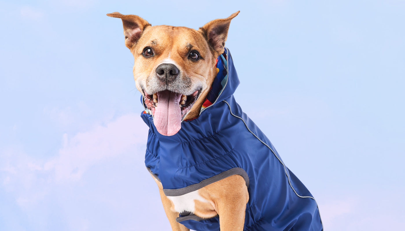 Spring-Essentials GF Pet Official Online Store