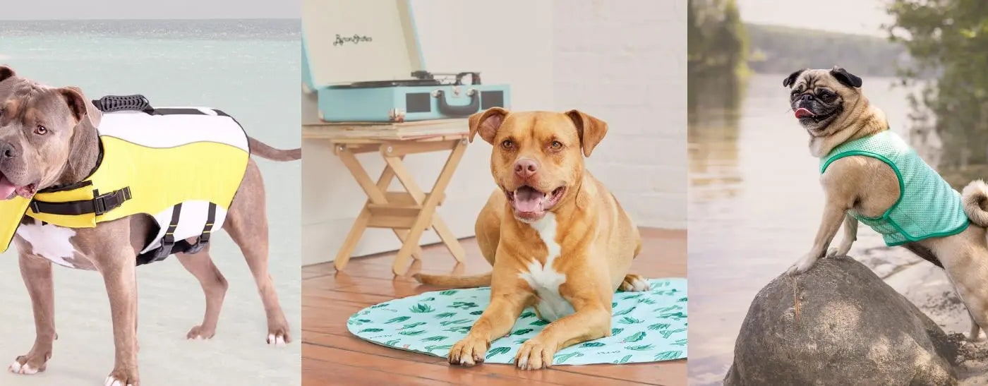 Summer-Essentials GF Pet Official Online Store