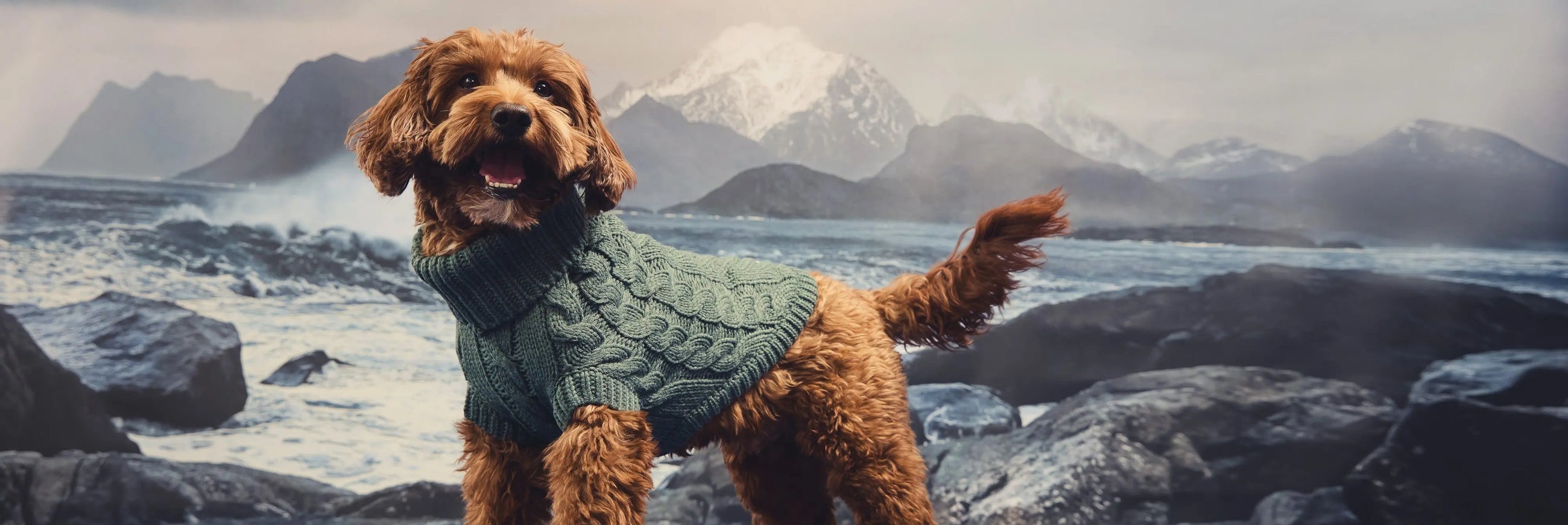 Sweaters-Hoodies GF Pet Official Online Store