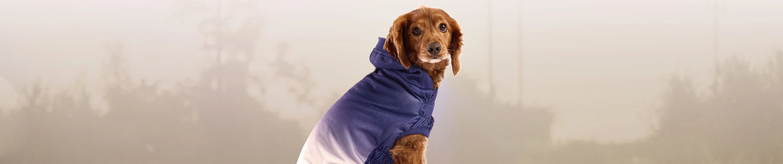 Sweaters & Hoodies GF Pet Official Online Store