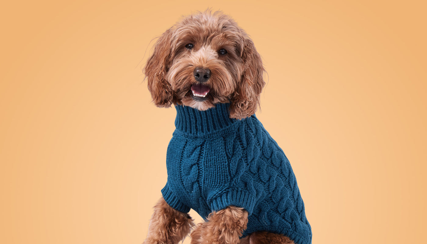Sweaters & Hoodies GF Pet Official Online Store