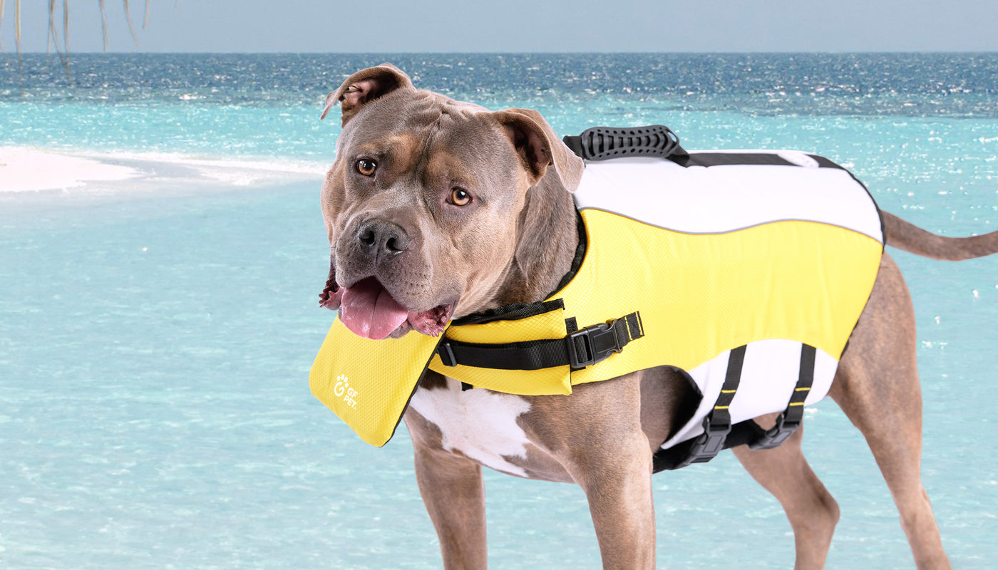 Travel & Outdoors GF Pet Official Online Store