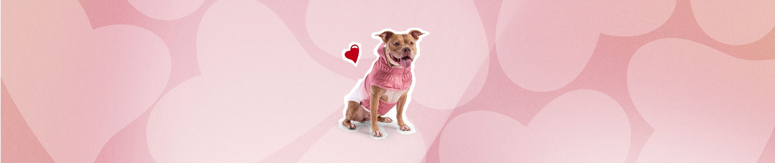 Valentine-Edit GF Pet Official Online Store