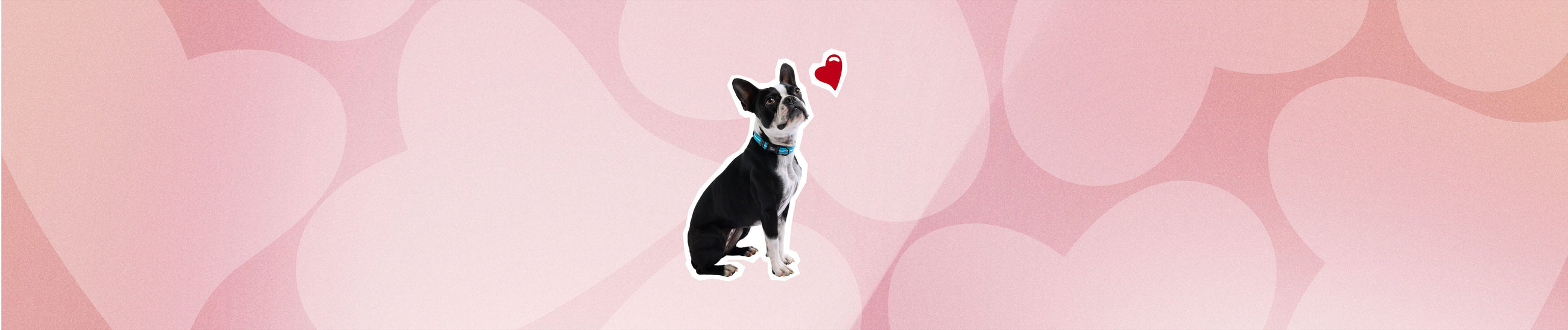 Valentine-s-gifts GF Pet Official Online Store