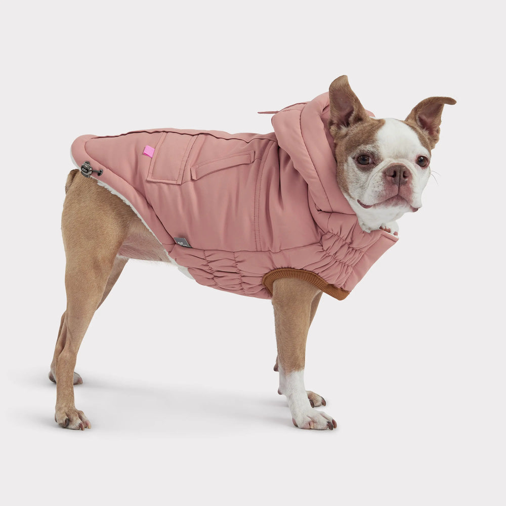 GF Pet LODGE Parka Für Hunde – Wasserabweisend, Mit Fleece-Futter & Kapuze