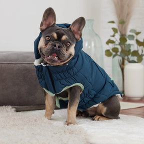 Arctic Parka | Dog Coat | Dark Teal GF PET Apparel GF Pet Official Online Store