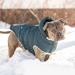 Arctic Dog Parka Dark Teal GF Pet Official Online Store