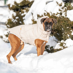 Arctic Parka | Dog Coat | Sand GF PET Apparel GF Pet Official Online Store