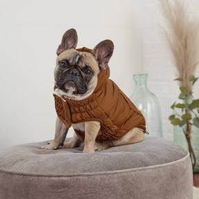 Arctic Parka | Dog Coat | Wood GF PET Apparel GF Pet Official Online Store