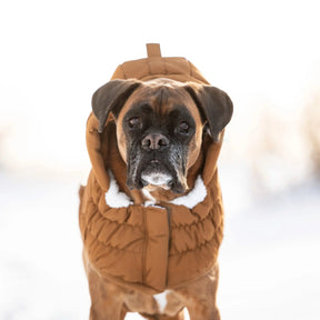 Arctic Parka | Dog Coat | Wood GF PET Apparel GF Pet Official Online Store