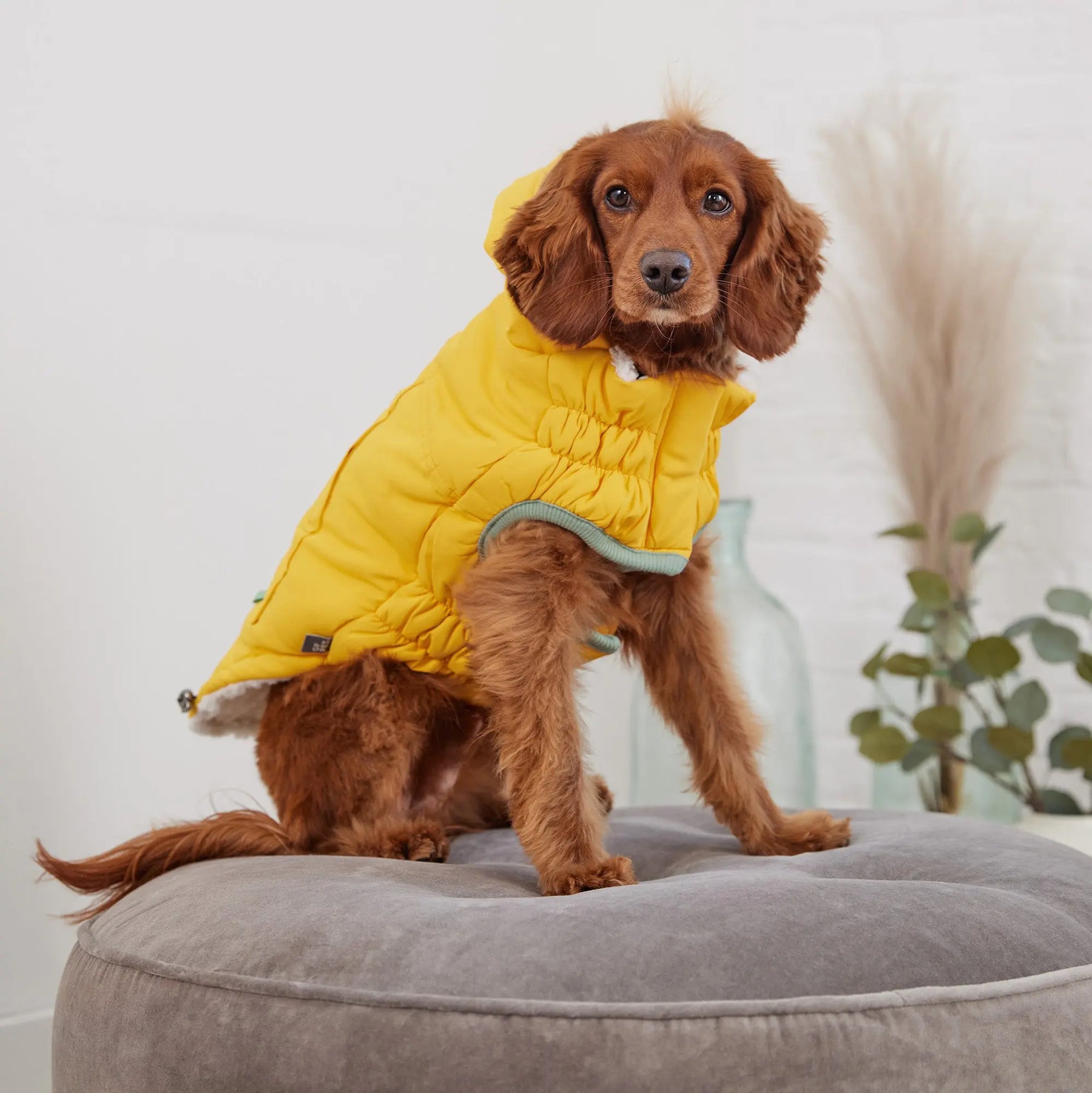 Arctic Parka | Dog Coat | Yellow GF PET Apparel GF Pet Official Online Store