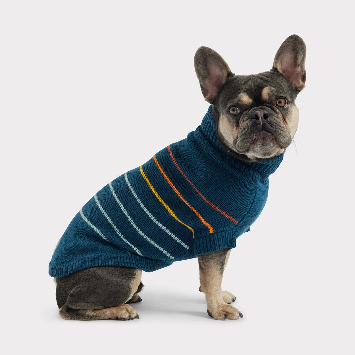 Arctic Dog Sweater | Dark Teal GF Pet Official Online Store Apparel GF Pet Official Online Store