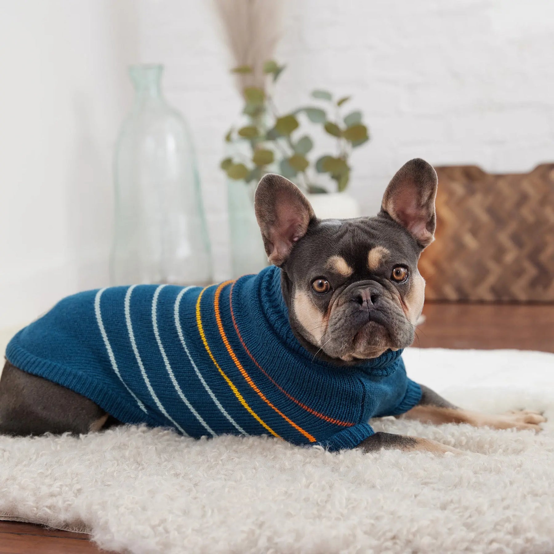 Arctic Dog Sweater | Dark Teal GF Pet Official Online Store Apparel GF Pet Official Online Store