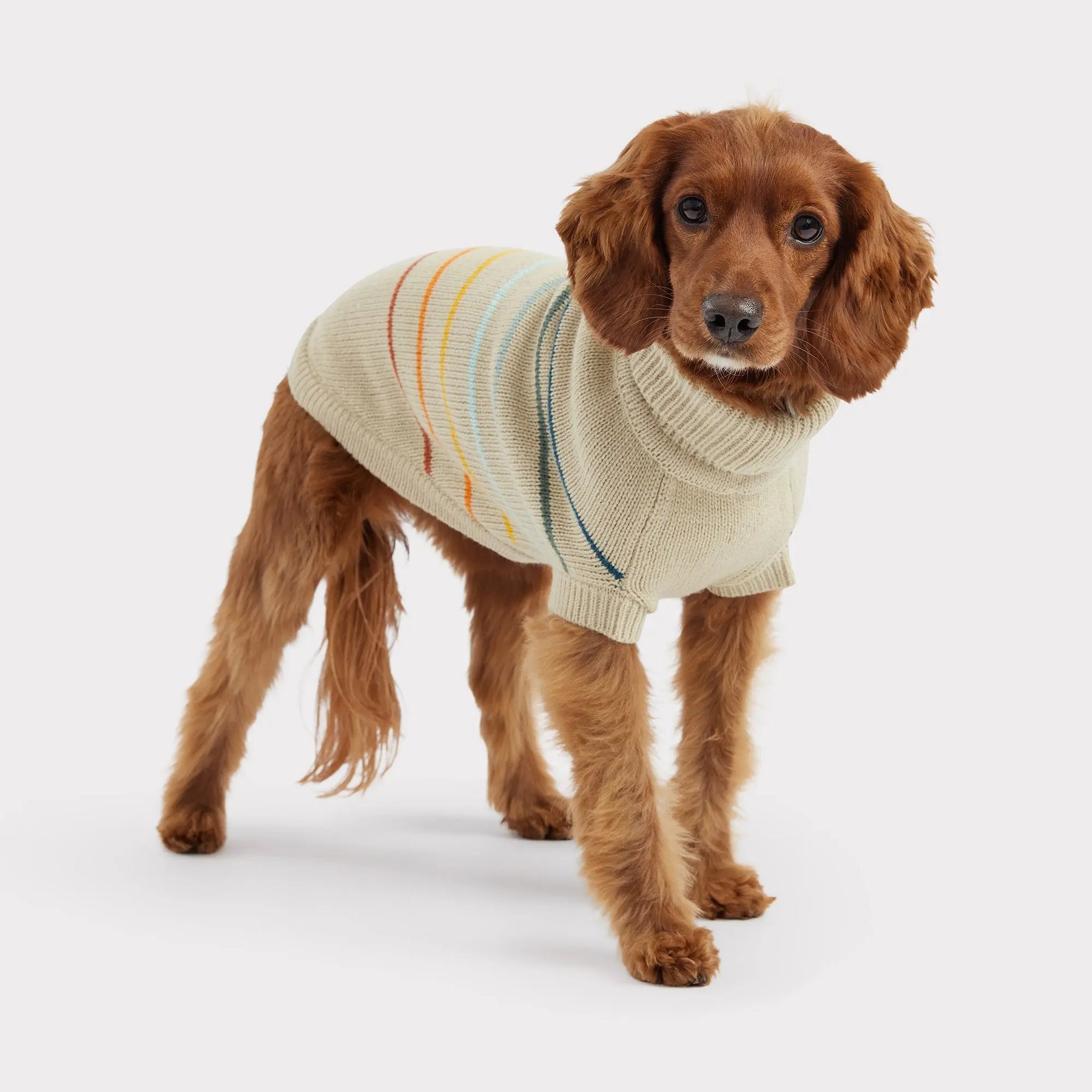 Arctic Dog Sweater | Sand GF Pet Official Online Store Apparel GF Pet Official Online Store