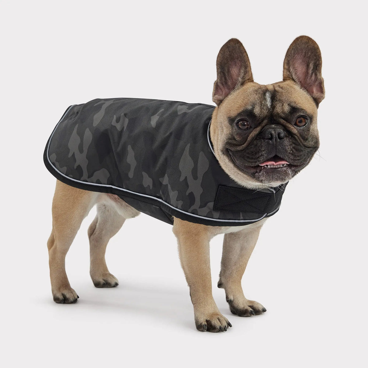 Camouflage jacket for clearance dogs