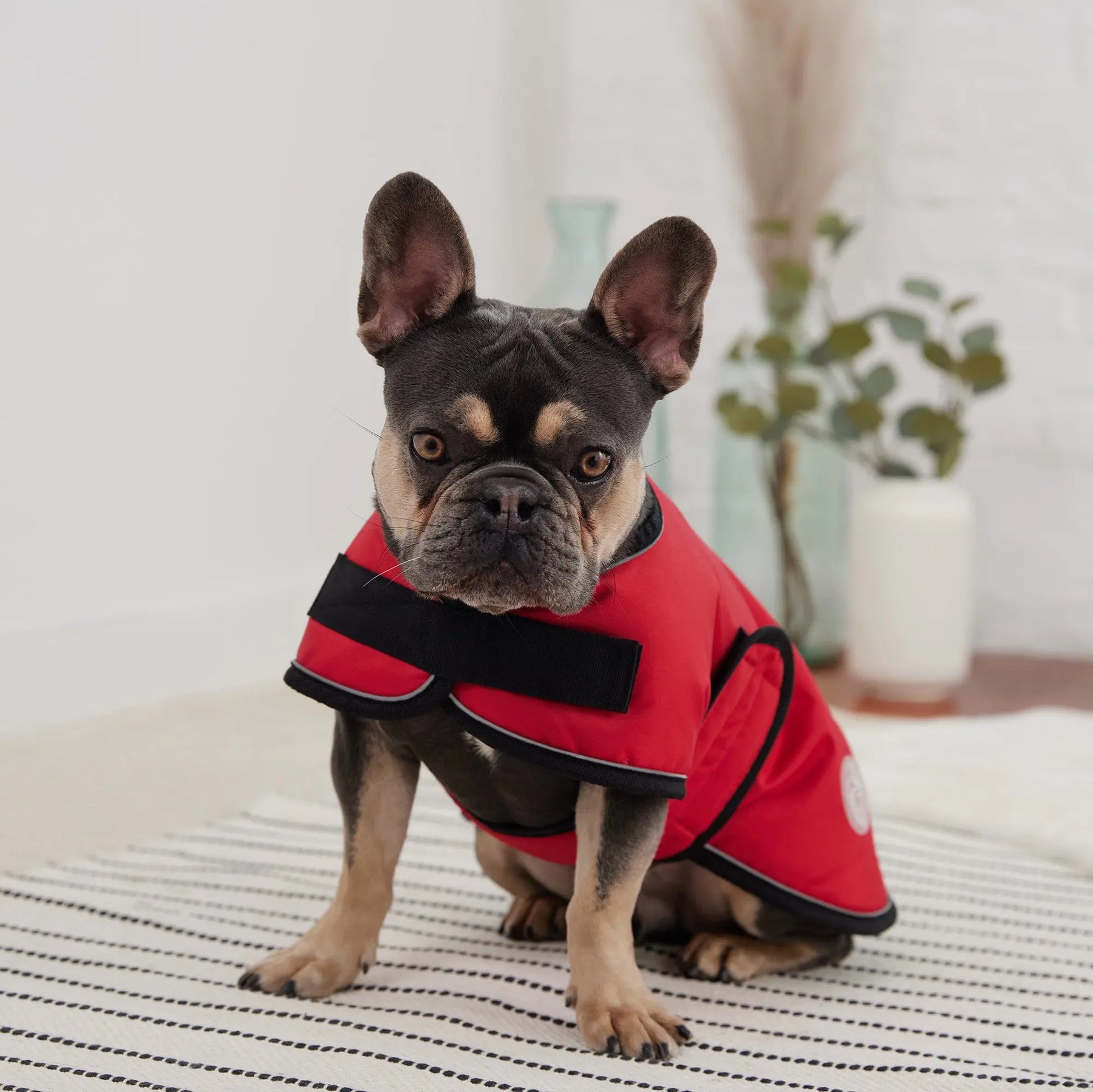 Blanket Dog Jacket | Red GF PET Apparel GF Pet Official Online Store