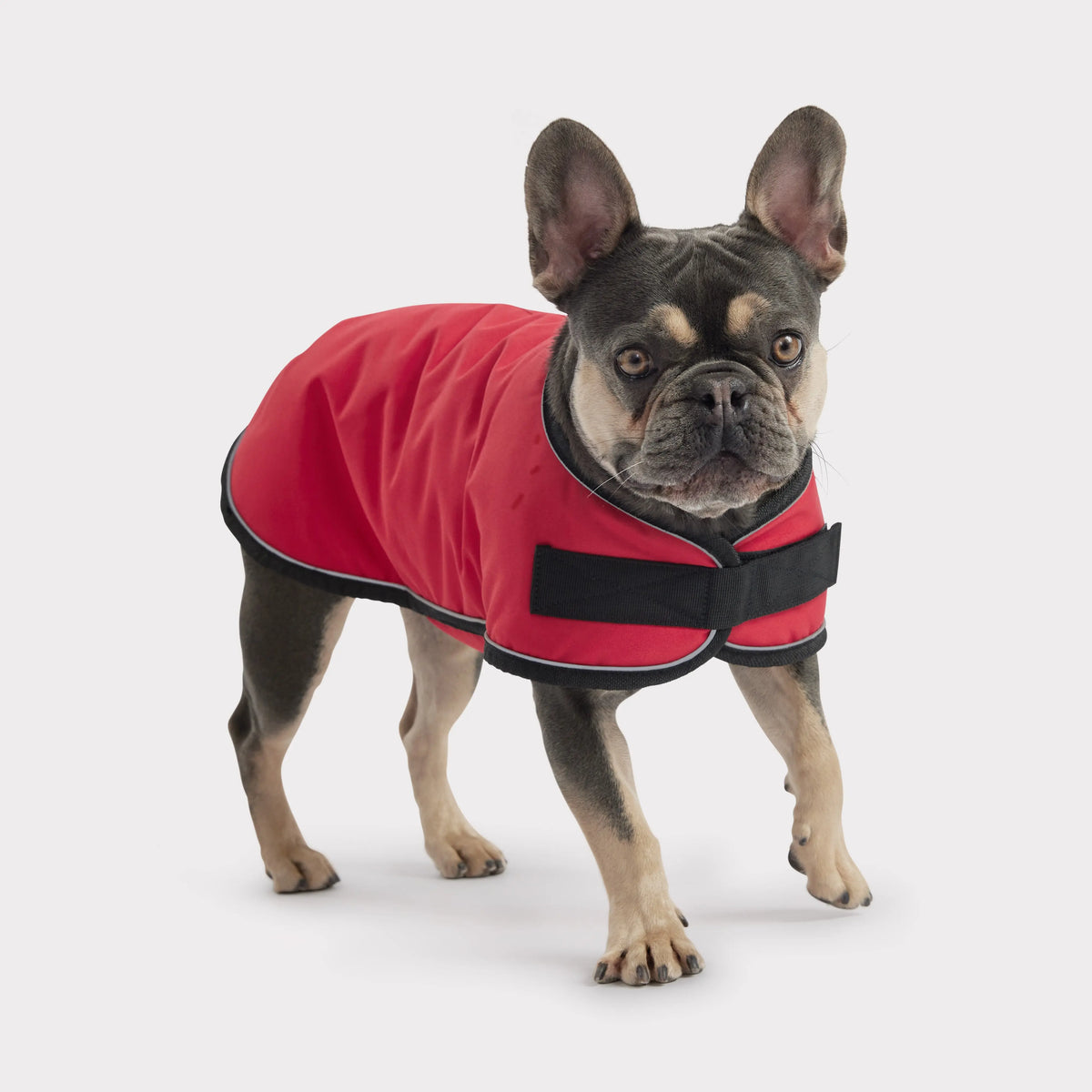 Blanket Dog Jacket | Red GF PET Apparel GF Pet Official Online Store