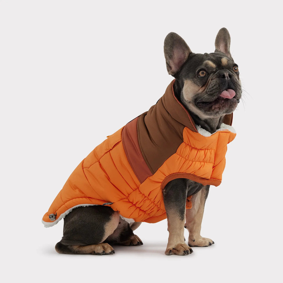 Camplife Puffer |  Dog Coat | Orange GF PET Apparel GF Pet Official Online Store