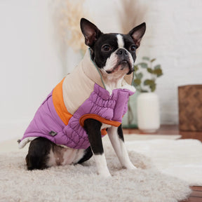 Camplife Puffer |  Dog Coat | Purple GF PET Apparel GF Pet Official Online Store