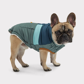 Camplife Puffer |  Dog Coat | Sage GF Pet Official Online Store Apparel GF Pet Official Online Store