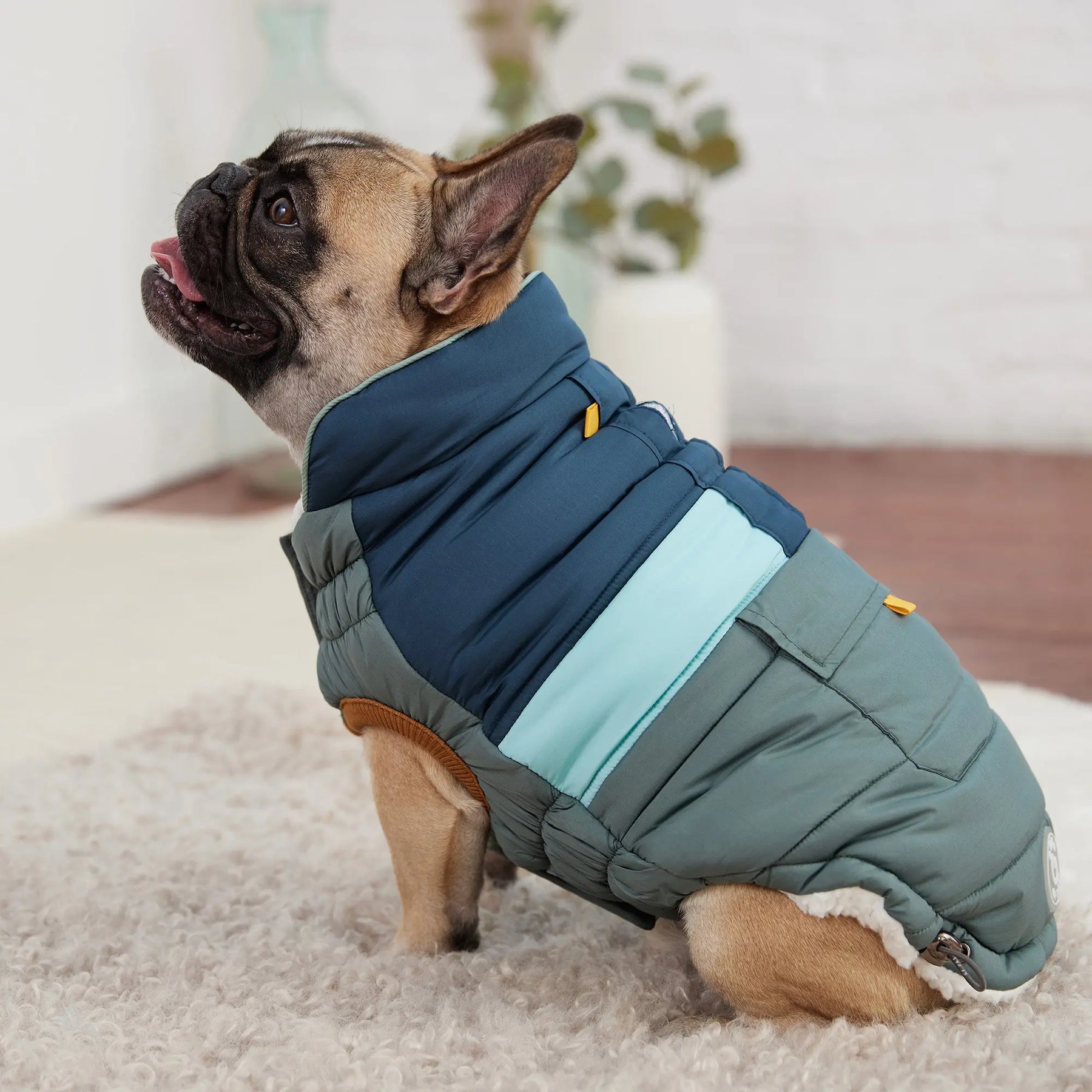 Animate Breathe Comfort Padded Green Dog Coat