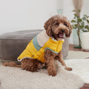 Camplife Puffer |  Dog Coat | Yellow GF PET Apparel GF Pet Official Online Store